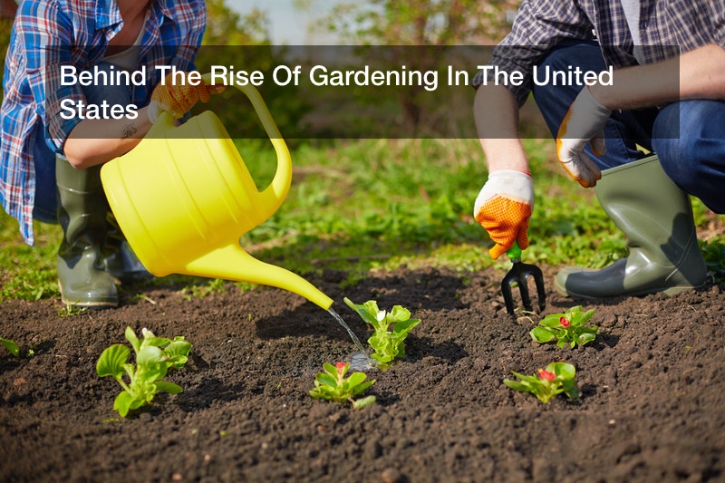 Behind The Rise Of Gardening In The United States