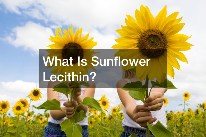 What Is Sunflower Lecithin?