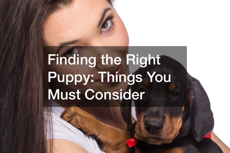 Finding the Right Puppy: Things You Must Consider
