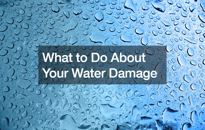 What to Do About Your Water Damage