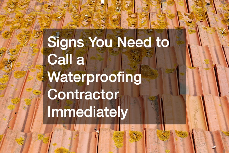 Signs You Need to Call a Waterproofing Contractor Immediately
